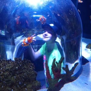 Meet your Posher, Corey